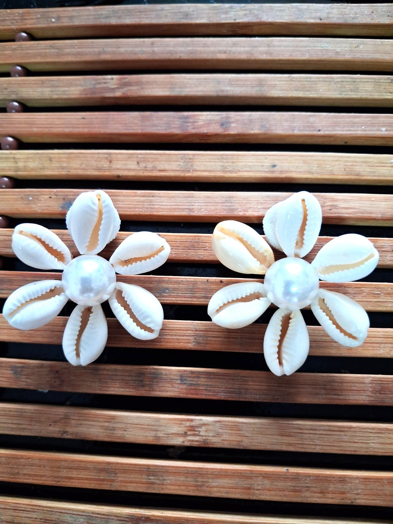 Natural white cowries shell earrings